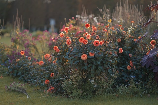 Voortuin beplanten: de beste keuzes voor elk seizoen